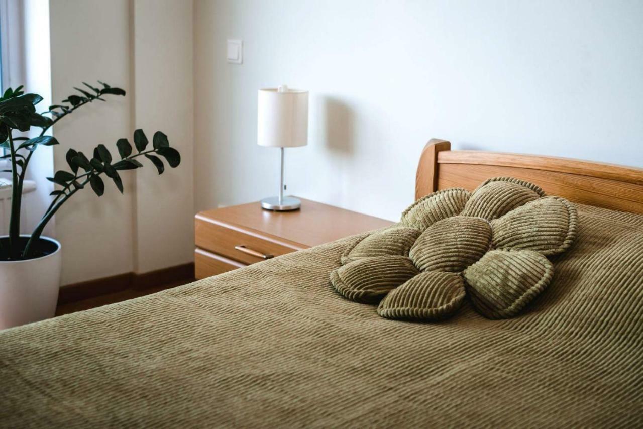 New Apartament Very Close To The City Centre VNO Kültér fotó