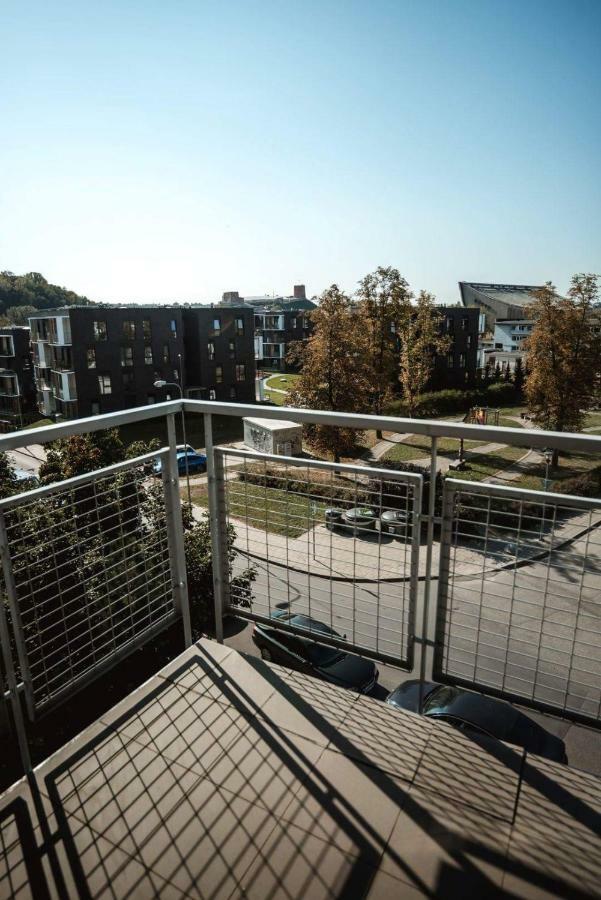 New Apartament Very Close To The City Centre VNO Kültér fotó