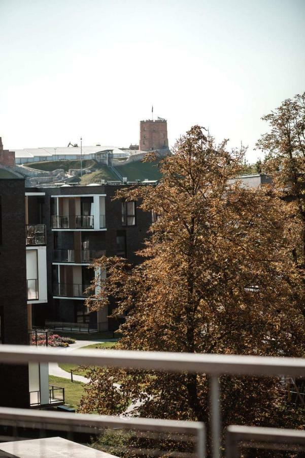 New Apartament Very Close To The City Centre VNO Kültér fotó