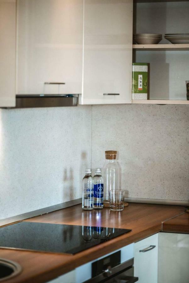 New Apartament Very Close To The City Centre VNO Kültér fotó